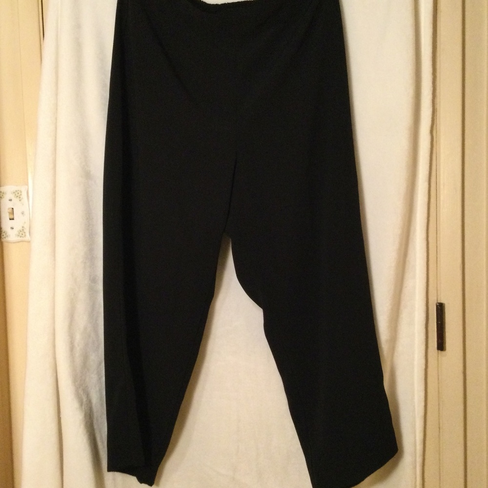 ⭐️ Cleo ll Black Pants women’s 1X